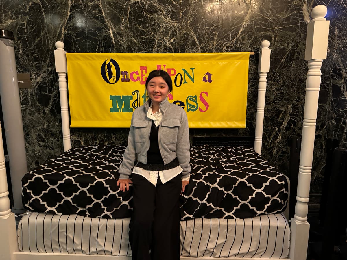 Once Upon A Mattress