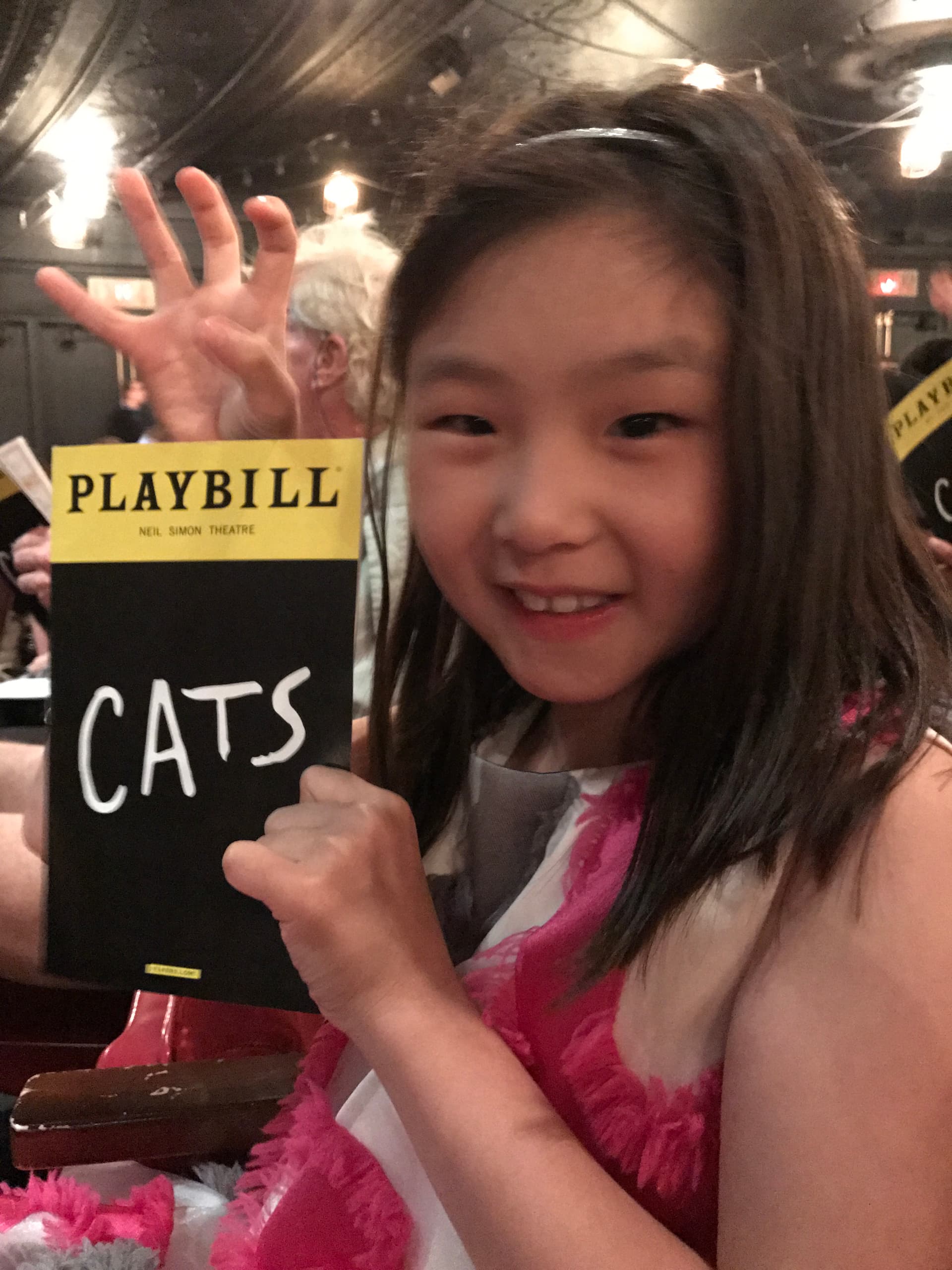 Personal photo from Cats