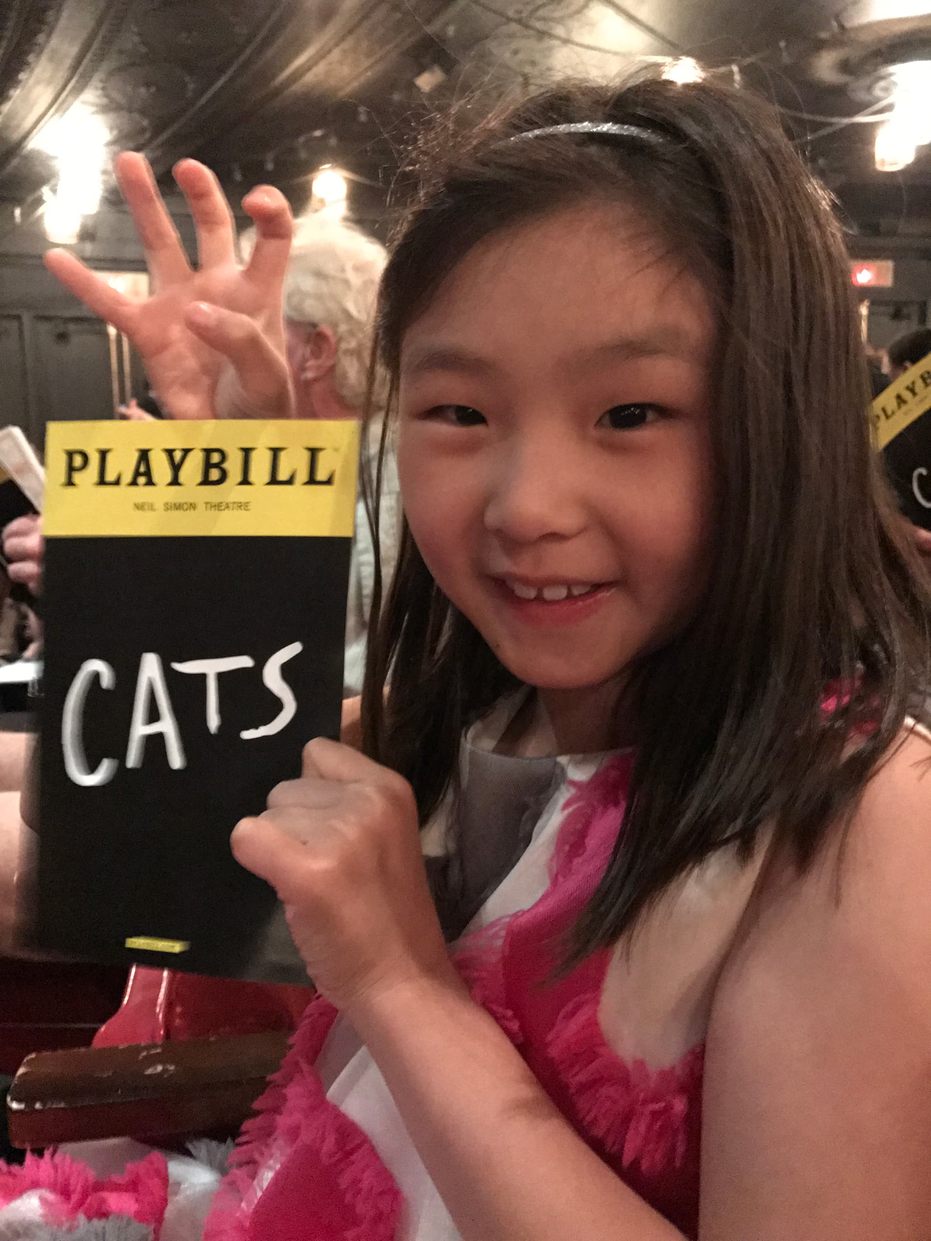 Personal photo from Cats
