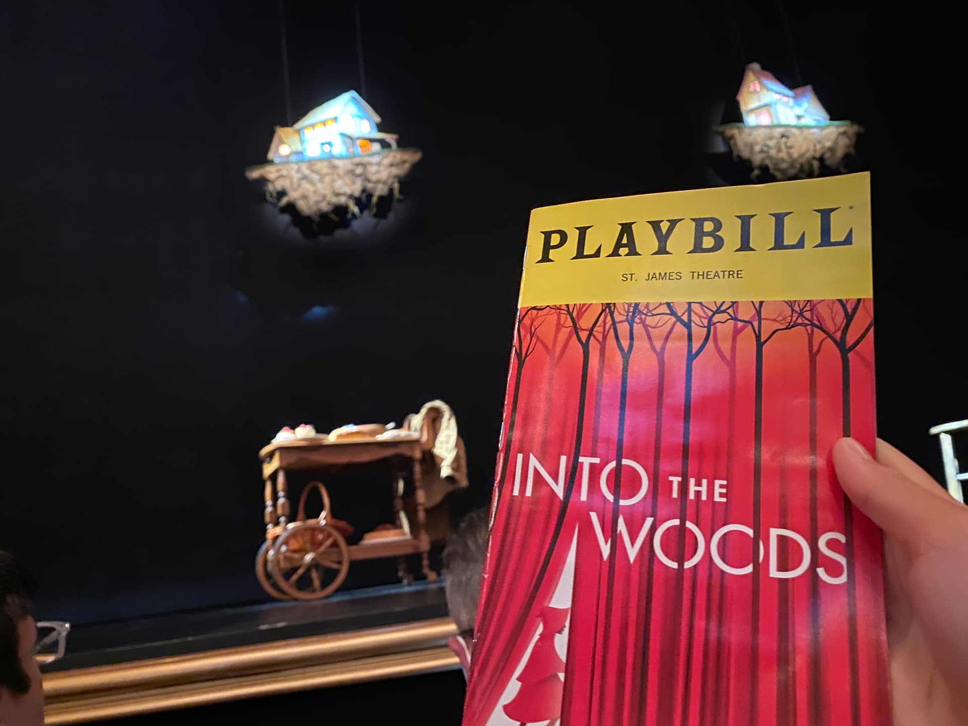 Personal photo from Into the Woods