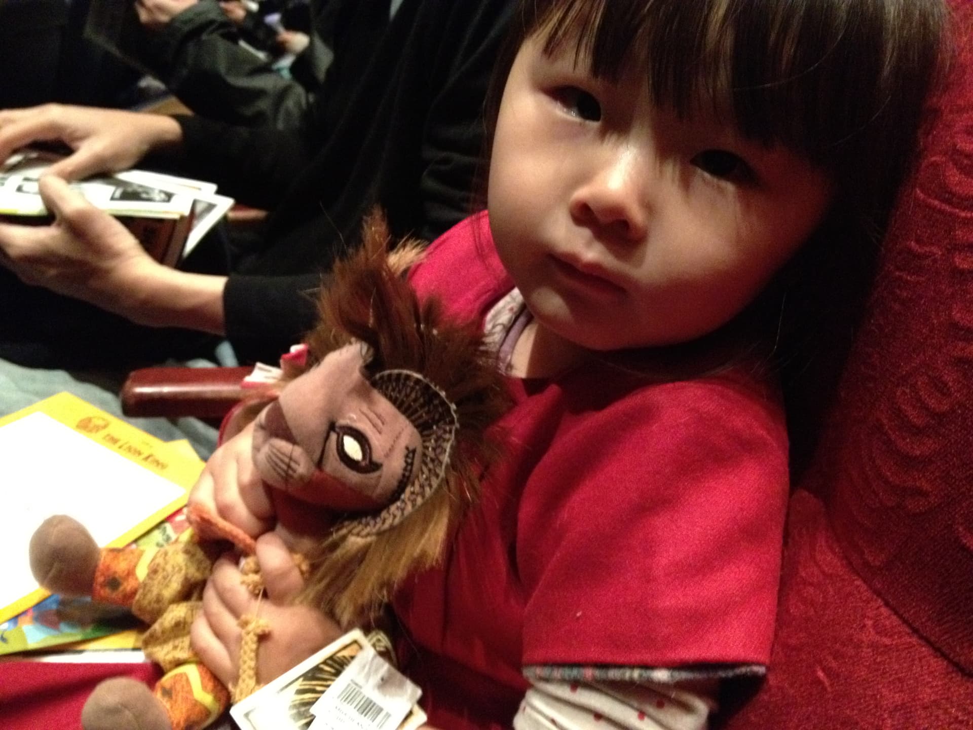 Personal photo from The Lion King