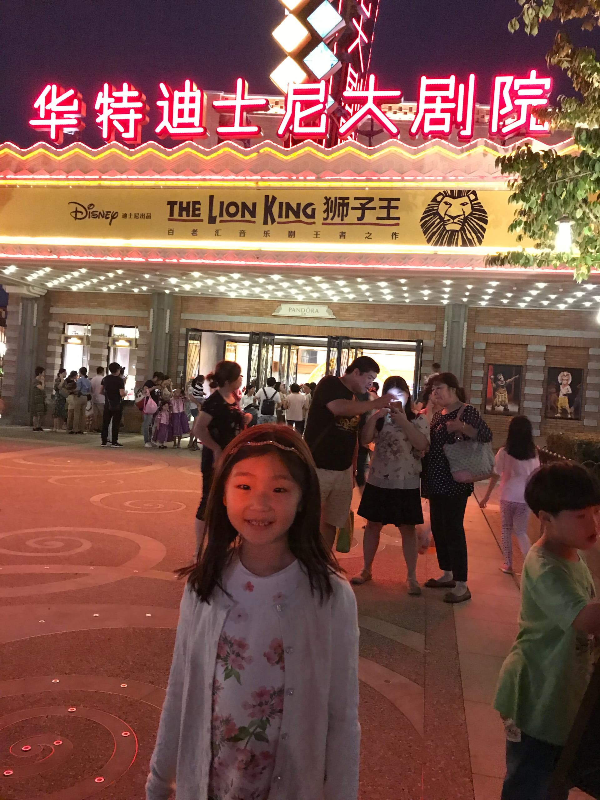 Personal photo from The Lion King